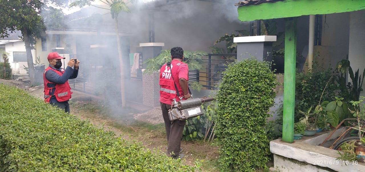 Satu Balita Meninggal Dunia Akibat DBD, 100 Rumah Di Fogging