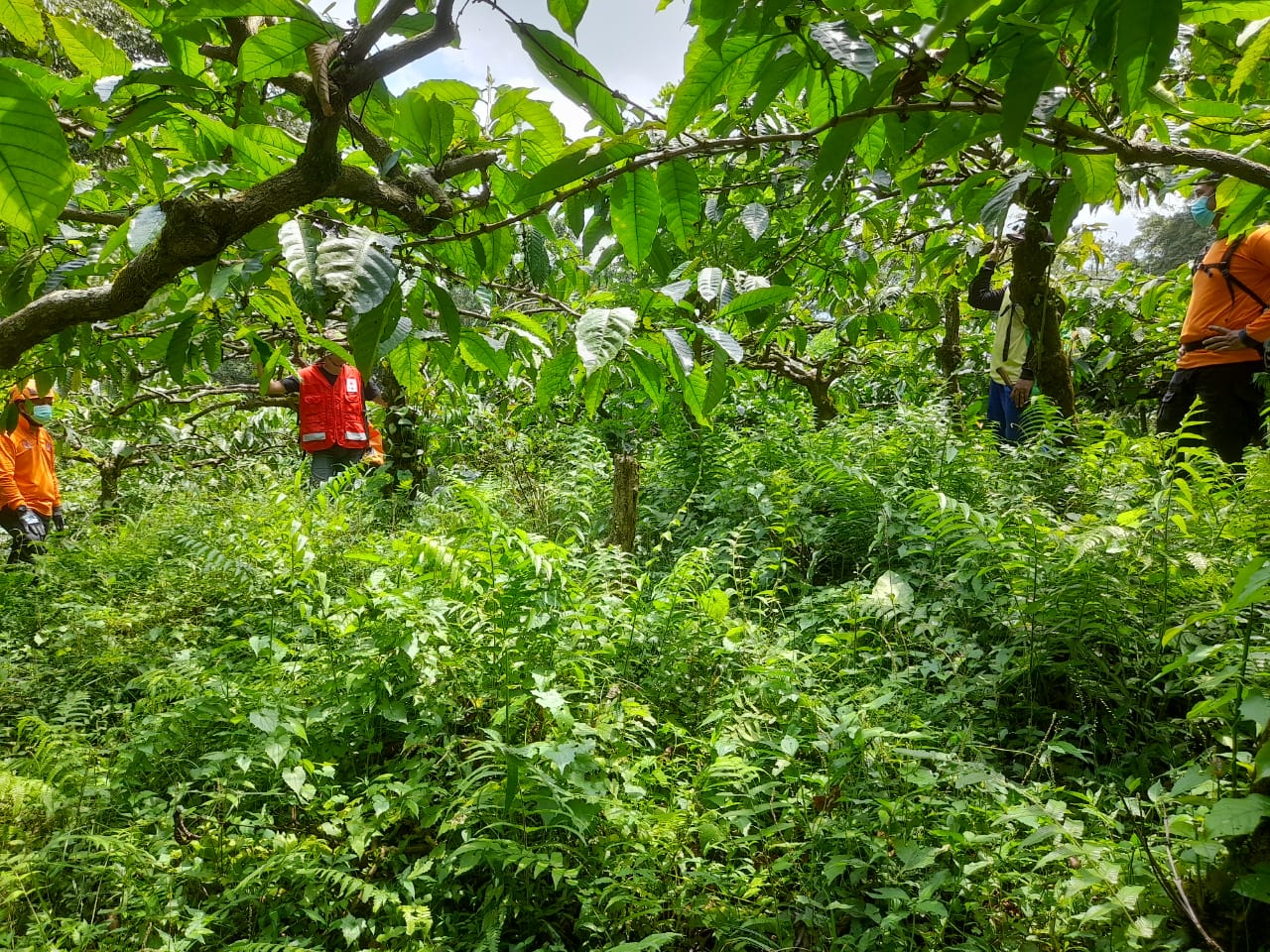 Temukan Retakan, Potensi Tanah Longsor 2 Hektar Ancam Lintasan KA Dan Jalan Raya