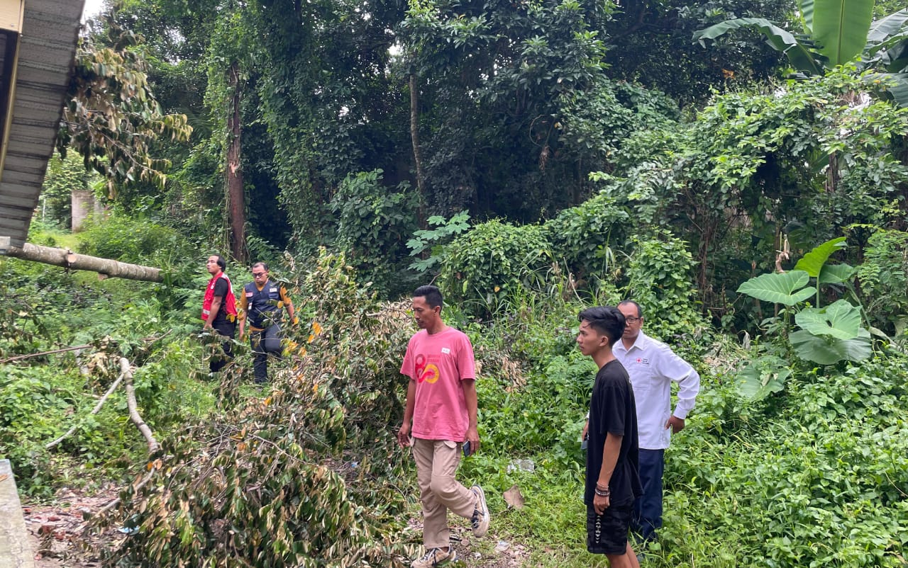 Tim Satgana PMI Evakuasi Pohon Tumbang Di Kantor PMII Cabang Jember