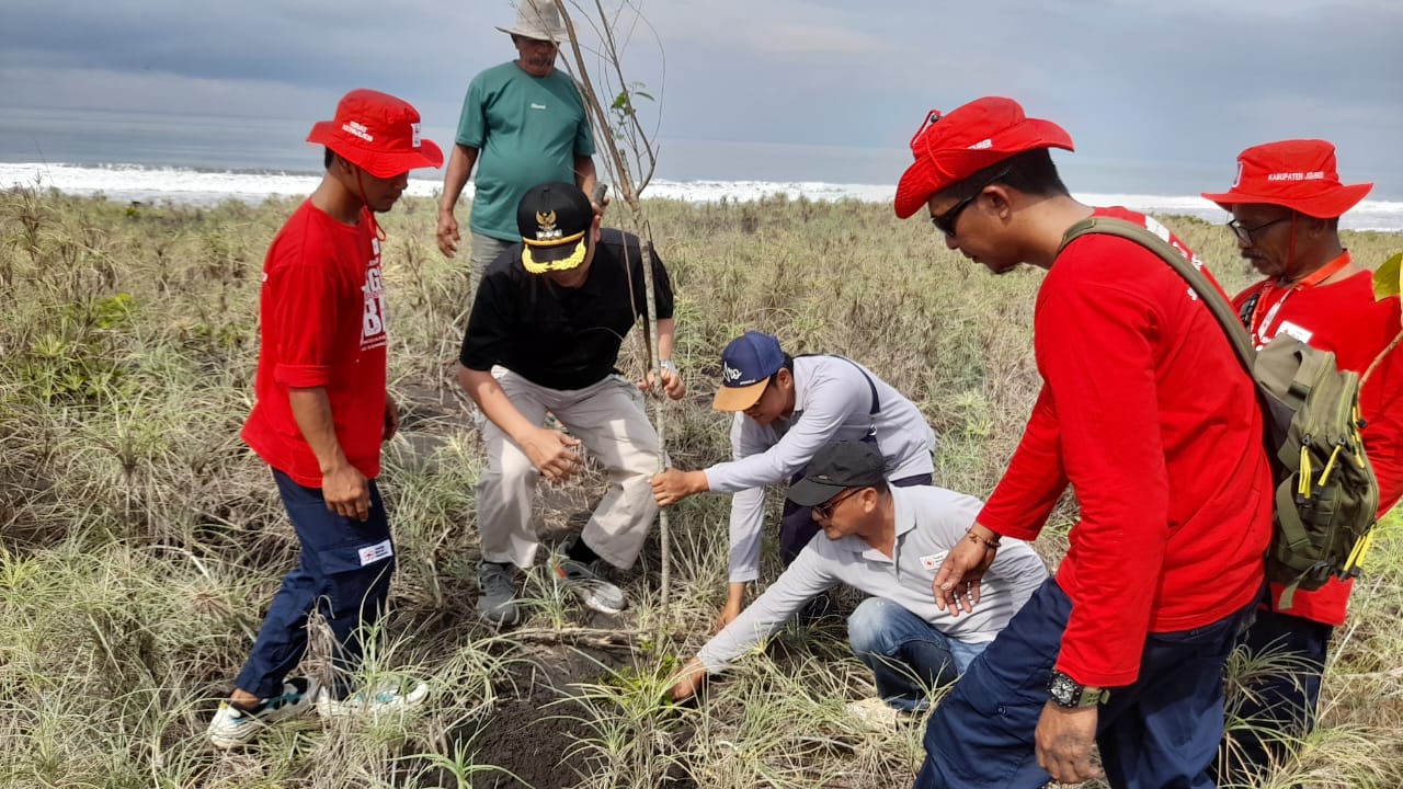 Megathrust Ancam Laut Selatan, Sibat Kepanjen Jember Gelar Reboisasi Dibibir Pantai