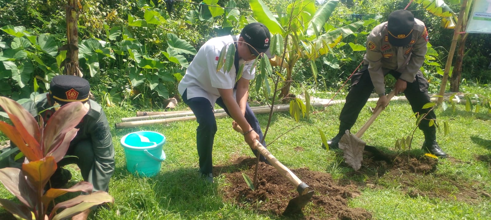 Wujudkan Sinergi Preventif, PMI Jember Ikut Tanam Pohon Dan Tebar Benih Ikan Di HKB 2026