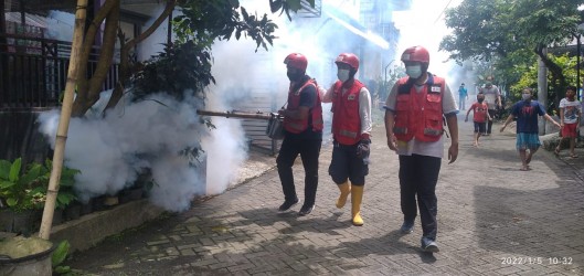 3 Anak Dilaporkan Terserang DBD, 100 Rumah Difogging