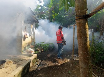 SEBULAN, 1 WARGA MENINGGAL  4 TERJANGKIT DB, PMI JEMBER LAKUKAN FOGING 50 RUMAH DI SEMBORO
