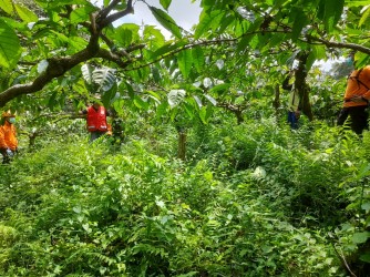 Temukan Retakan, Potensi Tanah Longsor 2 Hektar Ancam Lintasan KA Dan Jalan Raya