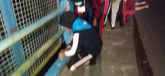 PMR SMP Negeri 1 Jember Tebar Benih Ikan Di Sungai Bedadung Pada Dini Hari