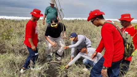 Megathrust Ancam Laut Selatan, Sibat Kepanjen Jember Gelar Reboisasi Dibibir Pantai