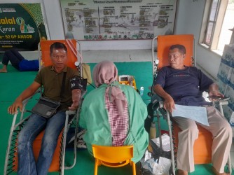 PAHLAWAN KEMANUSIAAN MASA KINI!!, PEMUDA ANSOR BALUNG RUTIN GELAR AKSINYA SUMBANG DARAH UNTUK PMI JEMBER 