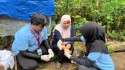 Uji Tanggap Darurat, Anggota Baru KSR PMI Unit Markas Simulasi Evakuasi Korban Massal